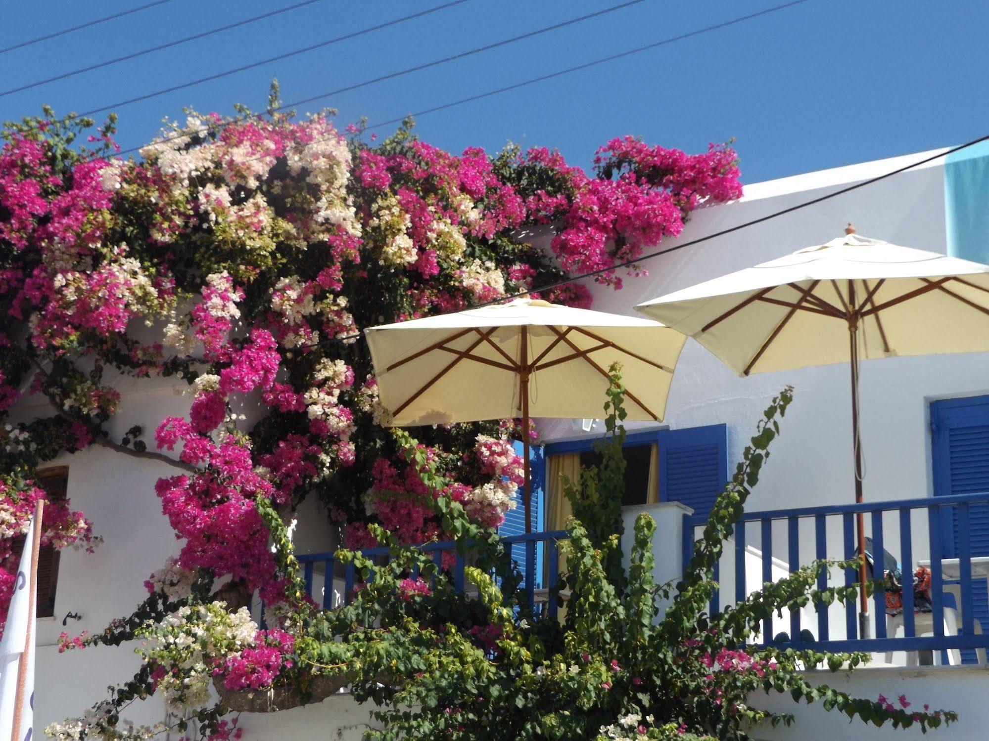 Stergia Hotel باروس المظهر الخارجي الصورة